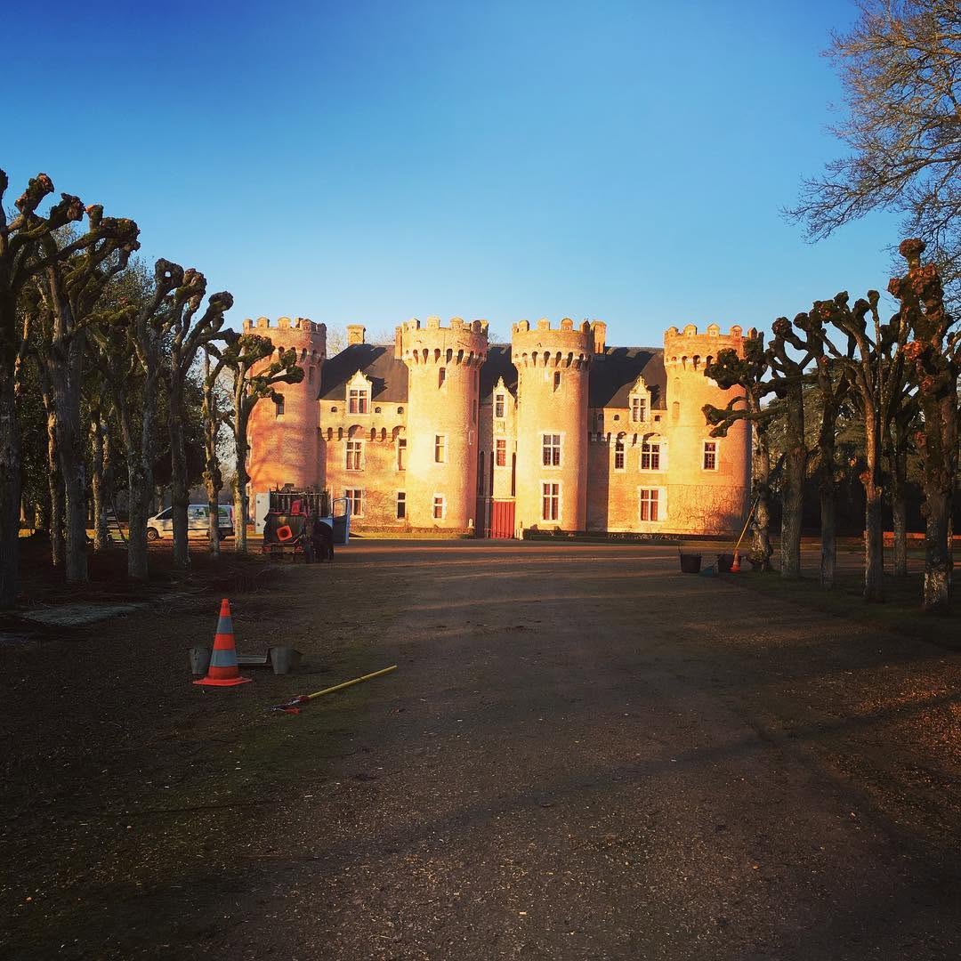 Élagage d'un parc de château