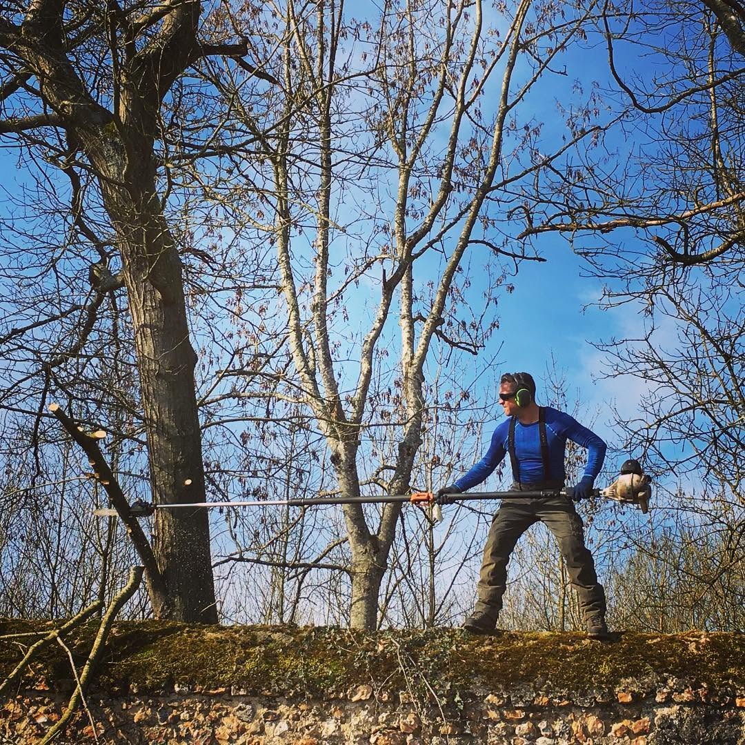 Élagueur en action en haut d'un mur de pierre
